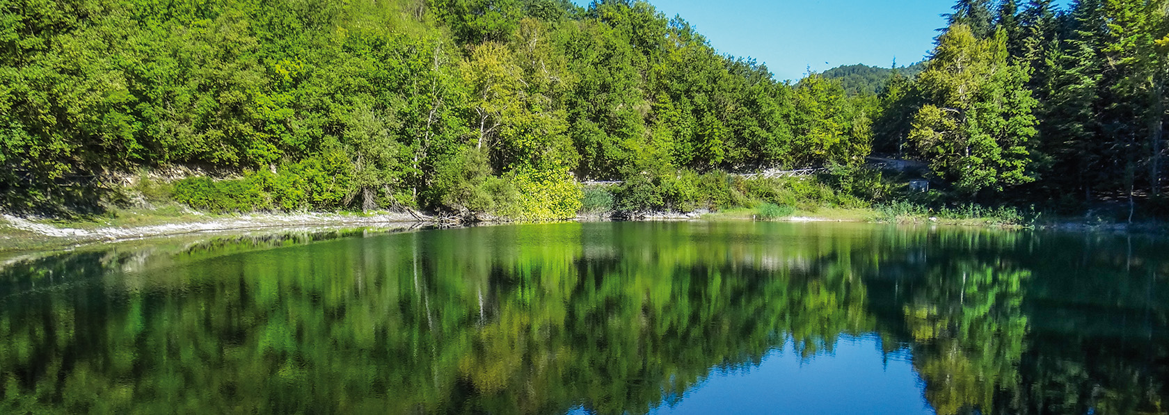 RISALENDO IL FIUME IN E-BIKE