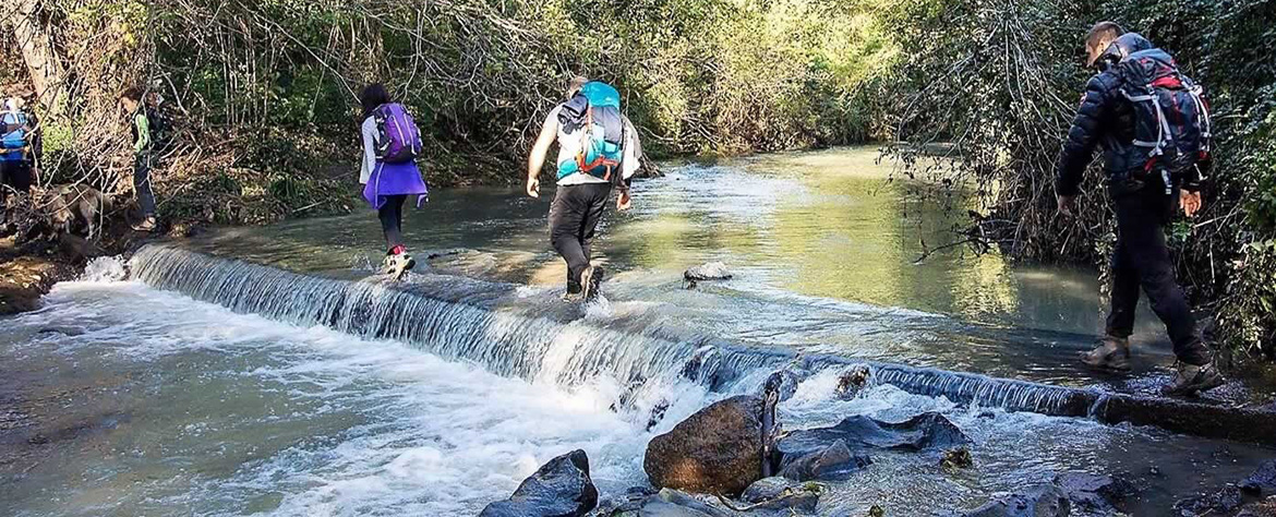 Trekking